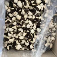 کشک|عمدهفروشی|تهران, حر|دیوار