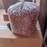 بادام زمینی