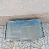 آکواریوم سالم|ماهی|قوچان, |دیوار