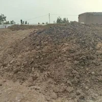 کودگاوی پوسیده درجه یک عکس واسه خودکودهست.