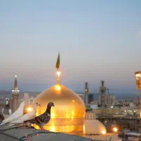 گزینه های هوایی و زمینی برای سفر به مشهد/قسطی