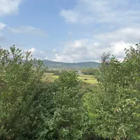 فروش زمین کشاورزی ، بیجار ، توشیبا ، باهنر ، سنگر