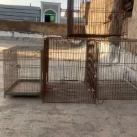 ۶عدد قفس پرنده