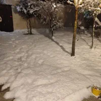 اجاره خانه ویلایی ۵۰ متری ۱ خوابه در حومه رشت|اجارهٔ خانه و ویلا|رشت, حومه رشت|دیوار