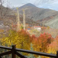 باغچه ۸۳۰متر با درختان کهنسال منطقه جاده چالوس|فروش خانه و ویلا|تهران, آجودانیه|دیوار