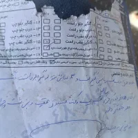 405 نقره ای دوگانه کارخانه|خودرو سواری و وانت|خواف, |دیوار