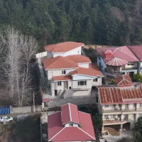 فروش ویلاباغ 1100متری لاکچری/ساحل بندرکیاشهر|فروش خانه و ویلا|کیاشهر, |دیوار