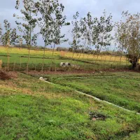 زمین مسکونی ۲۵۰ متری