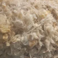 پشم گوسفند|رختخواب، بالش، پتو|پارس‌آباد, |دیوار