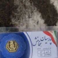 سکه پارسیان برای روزمادر حرف نداره سبک درمیاد