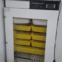 دستگاه جوجه کشی 504تایی هدایت فروشی|لوازم جانبی حیوانات|چناران, |دیوار