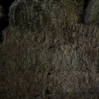 پرس چین دوم سوم