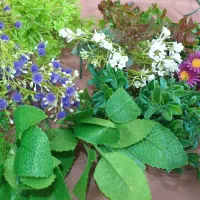 قالب طلقی سنگ مصنوعی