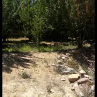 باغ-500-متری-چهاردیواری-شهرکی