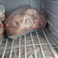 سلام غذای سگ|لوازم جانبی حیوانات|اصفهان, شهرک میلاد|دیوار