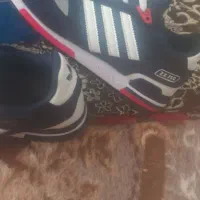 کفش zx750|کیف، کفش، کمربند|مرند, |دیوار