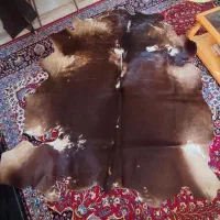 فرش پوست گاو طبیعی سایز بزرگ