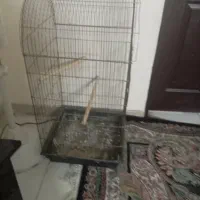 قفس