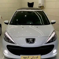 207 پانا ارتقا 1403 خشک