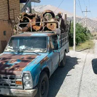 نیسان