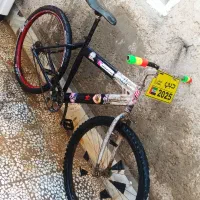 دوچرخه 26 تنه لاتانی