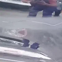 لیسه گیری صدفی