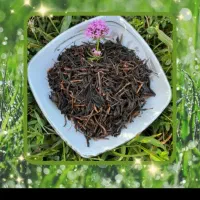 چای چوب اعلا|خوردنی و آشامیدنی|قم, انسجام|دیوار