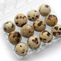 تخم بلدرچین نطفه دار