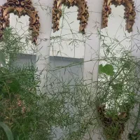 آینه سه تیکه