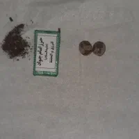 مهره قدیمی به شرط|کلکسیون اشیاء عتیقه|دوگنبدان, |دیوار