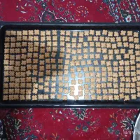 شیرینی نخودچی خونگی
