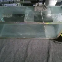 آکواریوم باکل وسایل بفروش میرسد