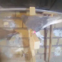 نقره|جواهرات|گناباد, |دیوار