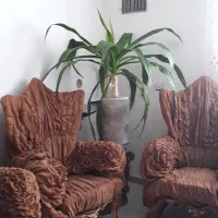 گل بزرگ طبیعی