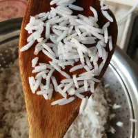 انواع برنج های ایرانی. به قیمت شمال|خوردنی و آشامیدنی|پاکدشت, پاکدشت (مامازند)|دیوار