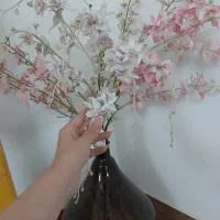 گل گلدان