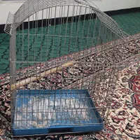 قفس طوطی