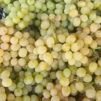 انگورسفیددرجه یک