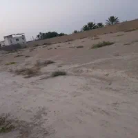 معاوضعه زمین