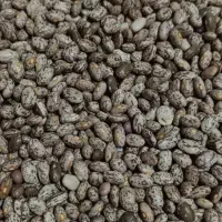 لوبیا چیتی