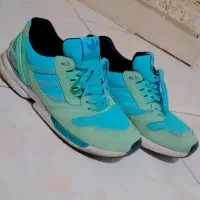 کتونی اقیانوسی