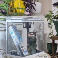 اکواریوم sobo اصلled