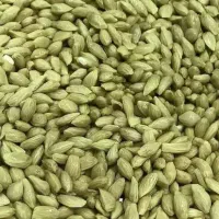 دانه‌نارنج‌موجود‌است