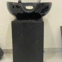 سرشور ایستاده