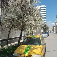 فروش تاکسی دوگانه کارخانه مدل 89