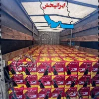 اسپری حشره کش کامن شکار تارمار گارد سم مورچه سوسک|لوازم نظافت|تهران, سیروس|دیوار