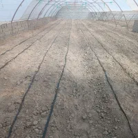 ساخت گلخانه خانگی|خدمات پیشه و مهارت|زابل, |دیوار