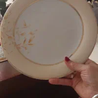 ۱۲ عدد پلوخوری|ظروف سرو و پذیرایی|ساری, |دیوار