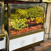 یخچال میوه ویترین دکوری