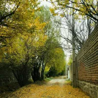 شناسنامه و کارت ملی و مدارک سربازی گم شدن